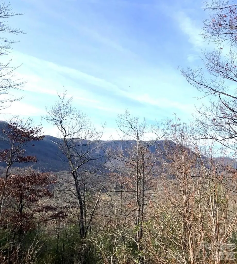 Lot 51b Wilderness Drive Marion NC 28752