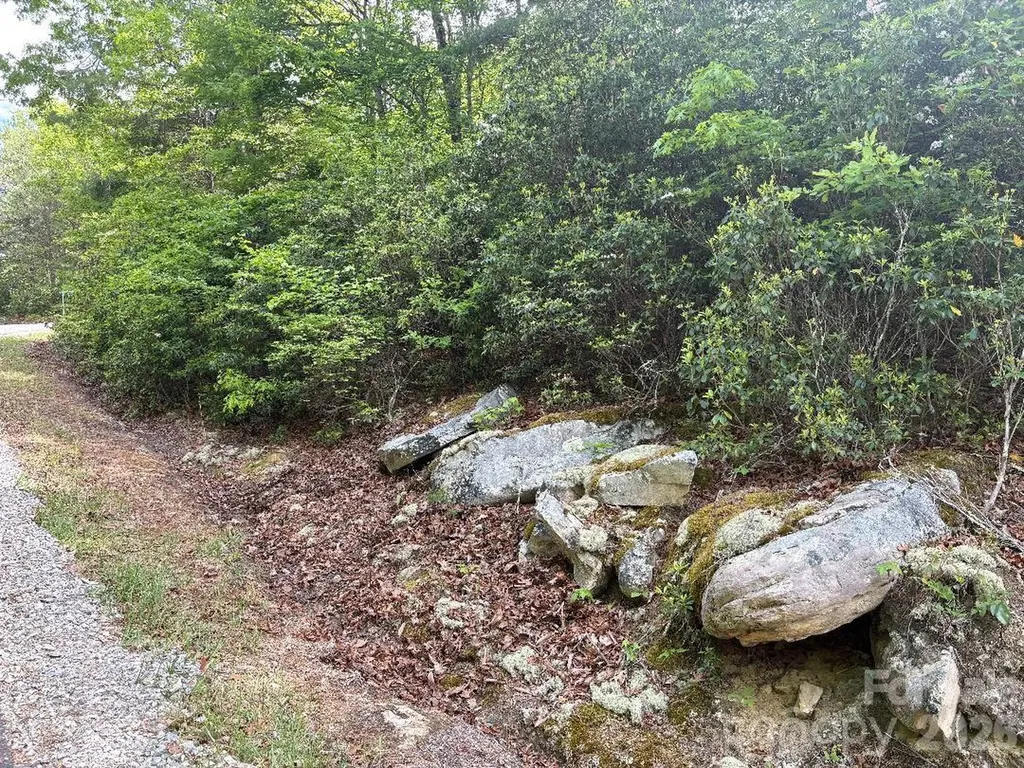 Lot 51b Wilderness Drive Marion NC 28752