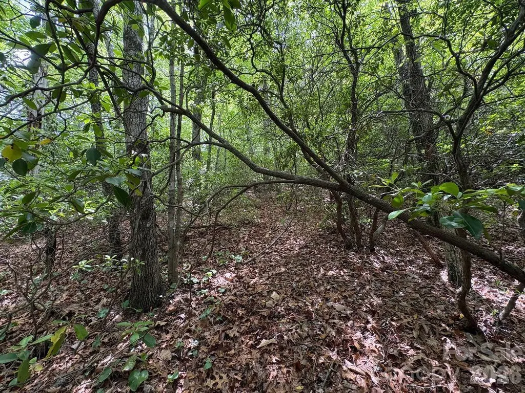 Lot 51b Wilderness Drive Marion NC 28752