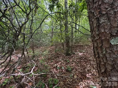 Lot 51b Wilderness Drive Marion NC 28752