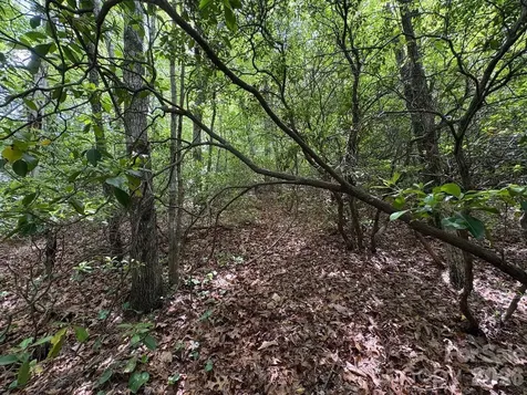 Lot 51b Wilderness Drive Marion NC 28752