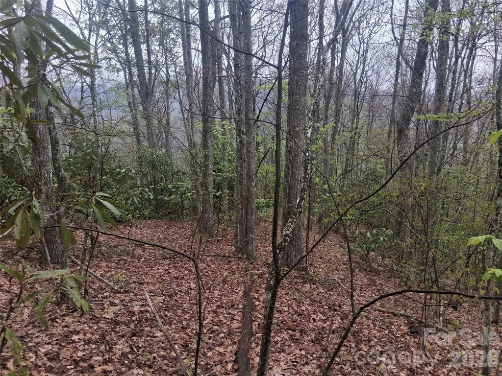0000 Bear Creek Road Maggie Valley NC 28721