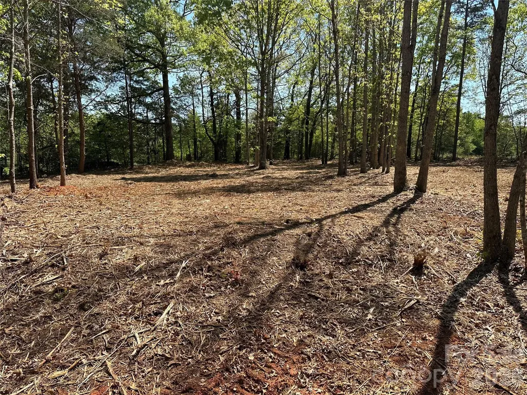 122 Long Leaf Pine Drive Hiddenite NC 28636