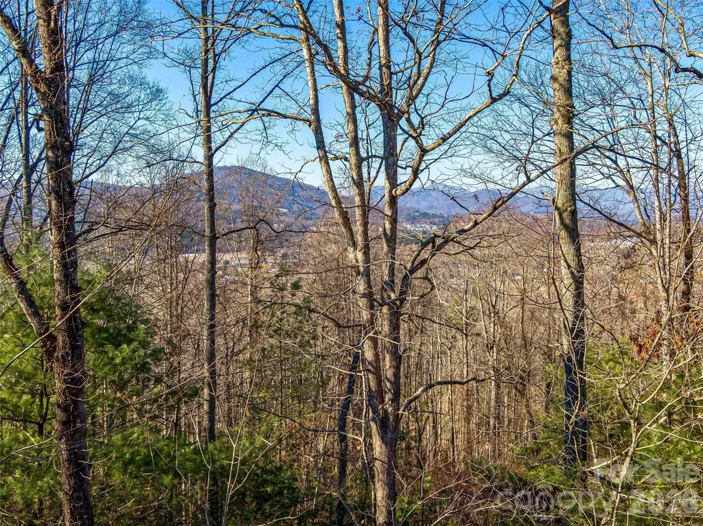 92 Chimney Crest Drive Asheville NC 28806
