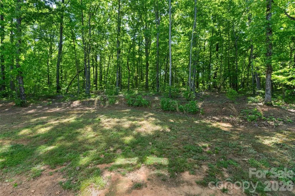 3690 Innes Lane Maiden NC 28650