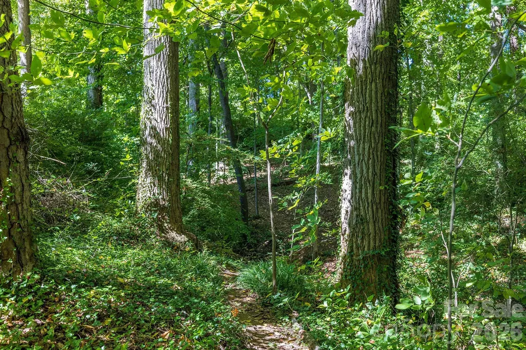63 Orrinel Way Asheville NC 28806
