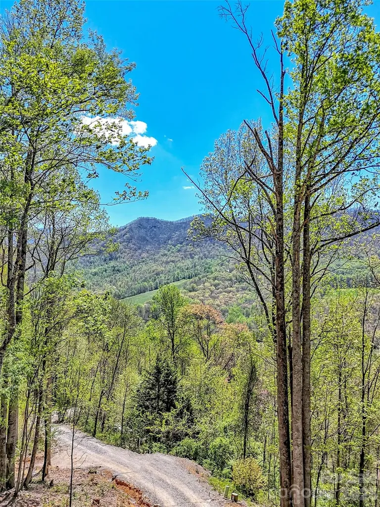 424 Arrington Acres Drive Waynesville NC 28786