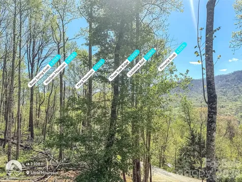 424 Arrington Acres Drive Waynesville NC 28786