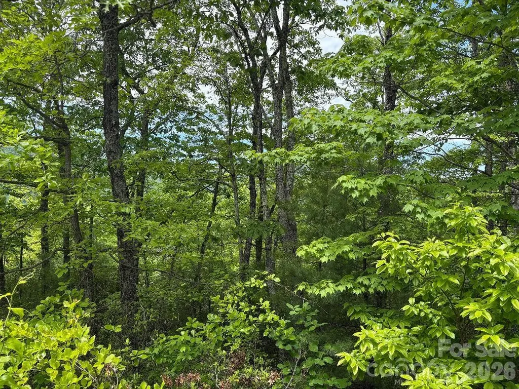Lot 51a Wilderness Drive Marion NC 28752