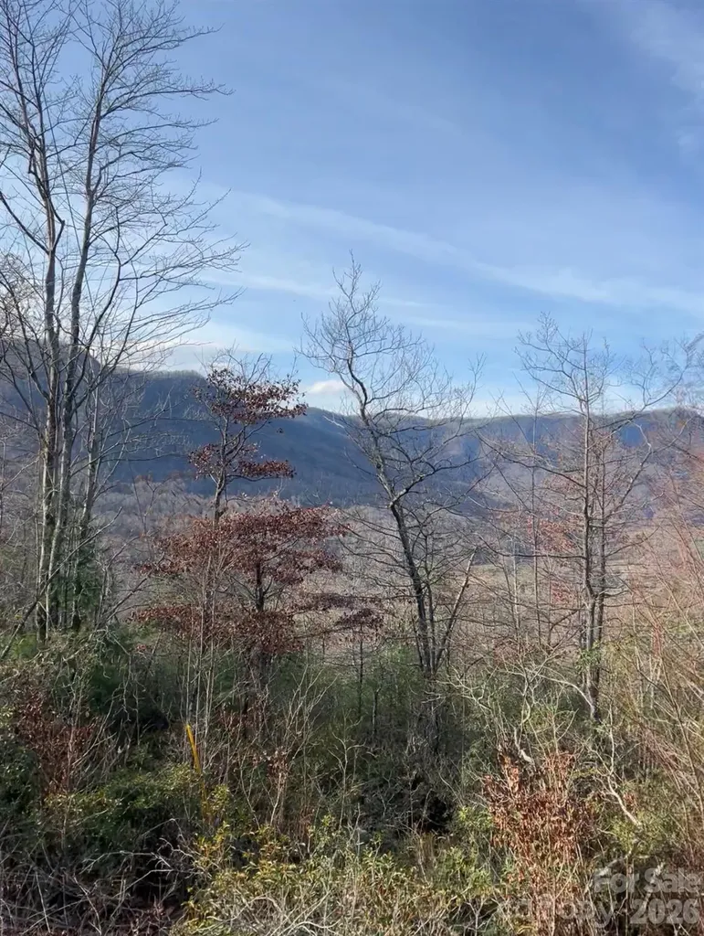 Lot 51a Wilderness Drive Marion NC 28752