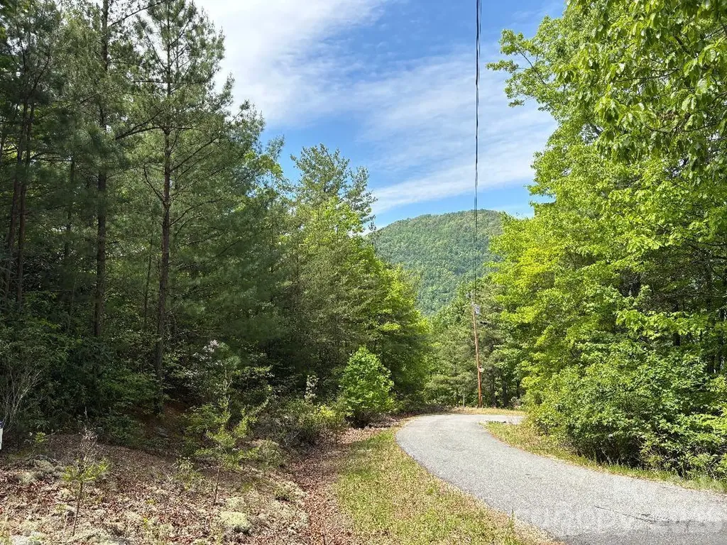 Lot 51a Wilderness Drive Marion NC 28752