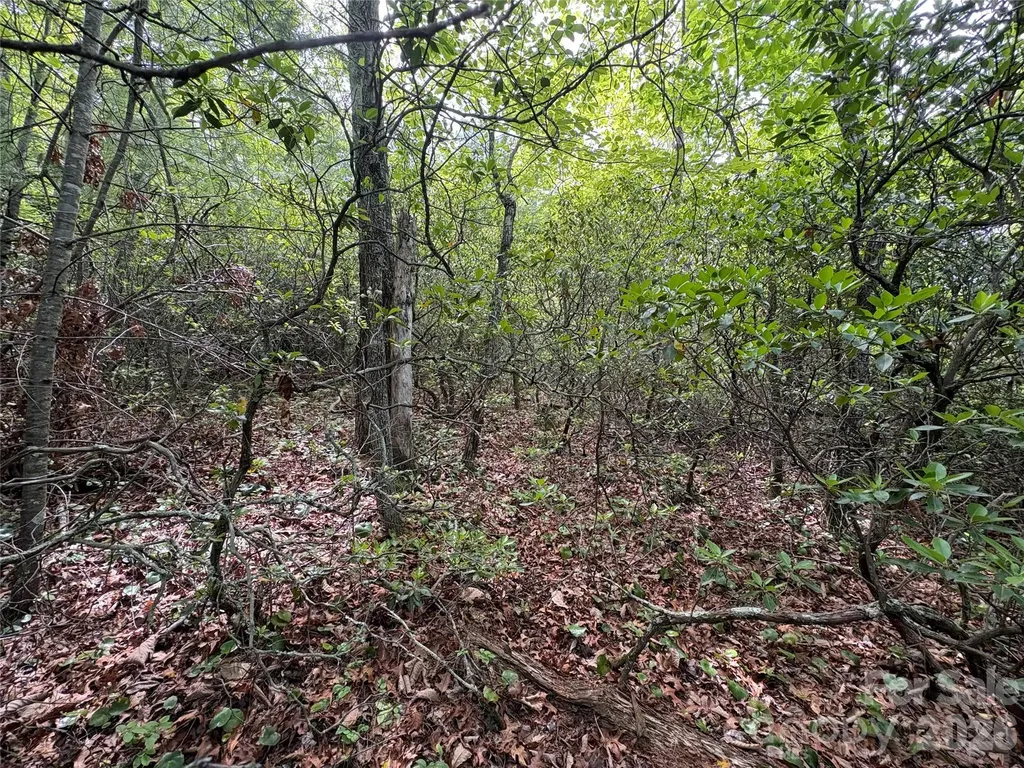 Lot 51a Wilderness Drive Marion NC 28752