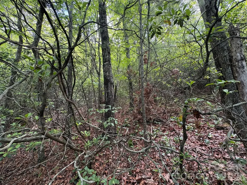 Lot 51a Wilderness Drive Marion NC 28752