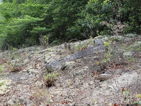 Lot 51a Wilderness Drive Marion NC 28752