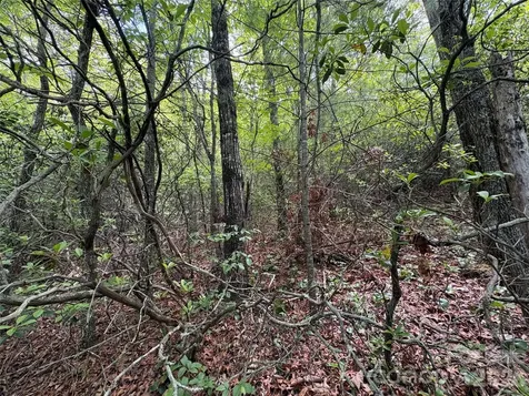 Lot 51a Wilderness Drive Marion NC 28752