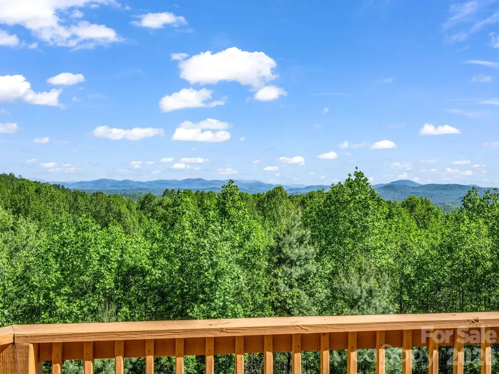 603 Pace Mountain Road Saluda NC 28773