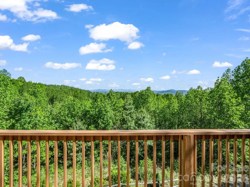 603 Pace Mountain Road Saluda NC 28773