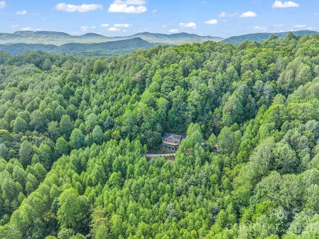 603 Pace Mountain Road Saluda NC 28773
