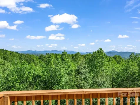 603 Pace Mountain Road Saluda NC 28773