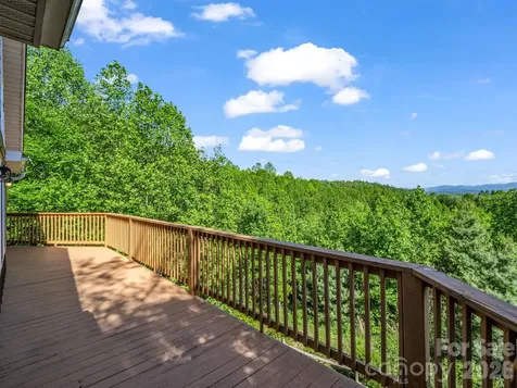 603 Pace Mountain Road Saluda NC 28773