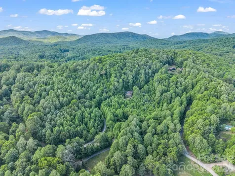 603 Pace Mountain Road Saluda NC 28773