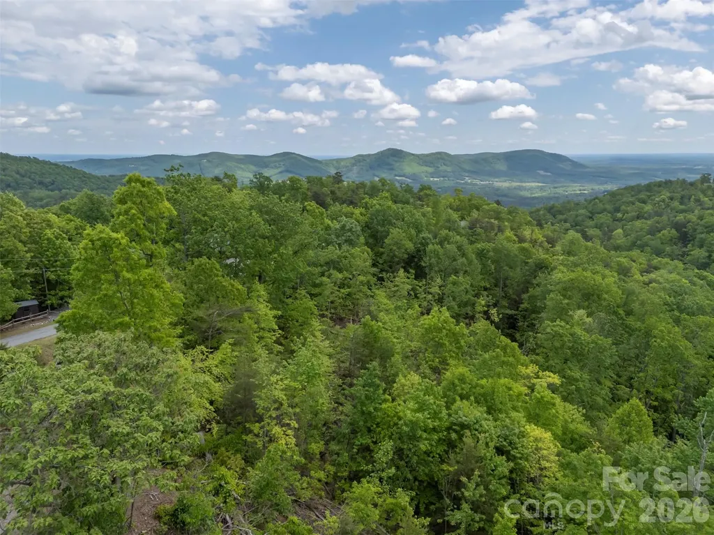202 Fall Creek Drive Bostic NC 28018
