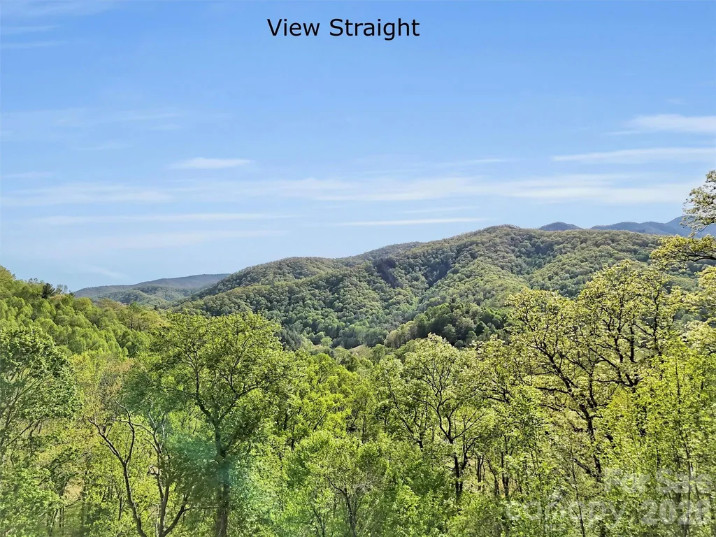 455 Chinquapin Road Canton NC 28716