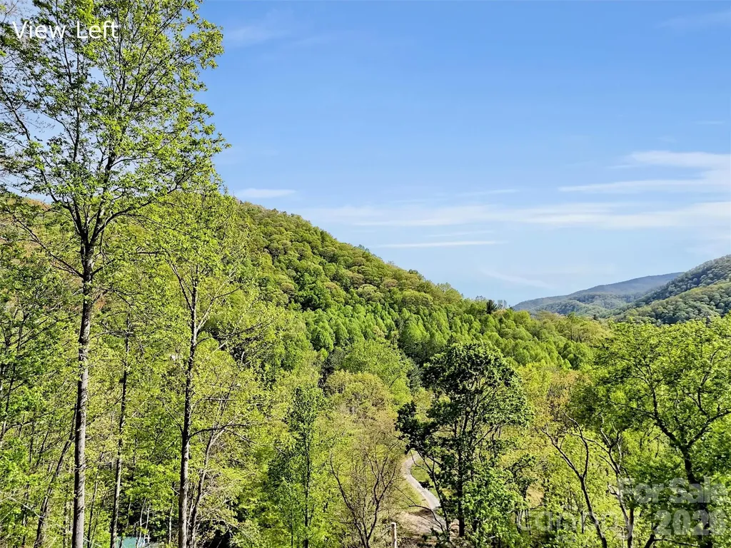455 Chinquapin Road Canton NC 28716