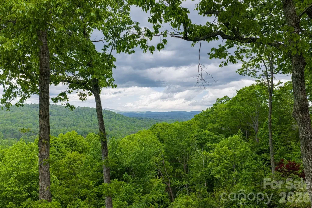 12 Spring Ridge Lane Hendersonville NC 28739