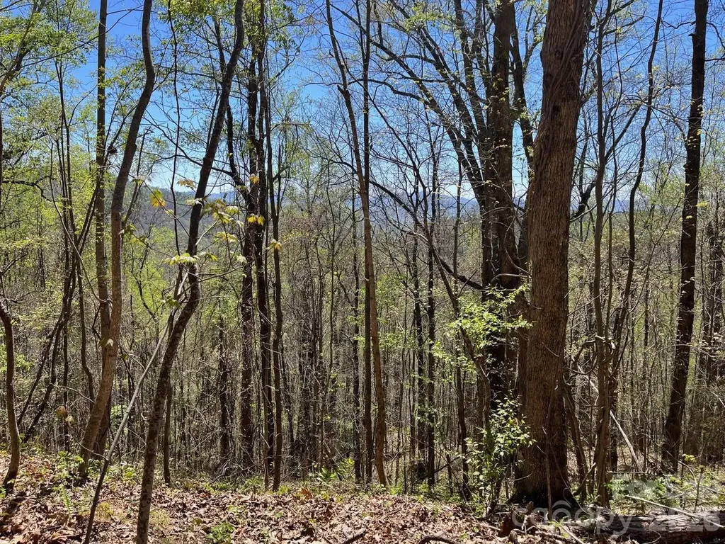 0 Crackin Chestnut Lane Sylva NC 28779