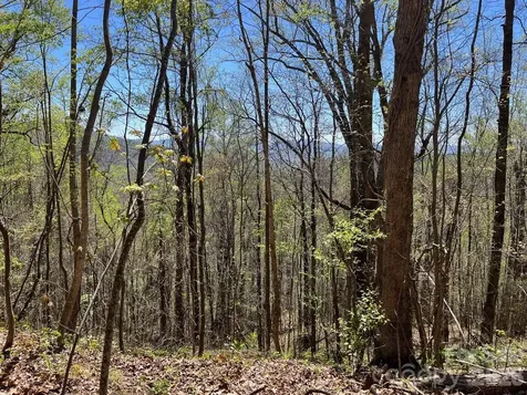 0 Crackin Chestnut Lane Sylva NC 28779