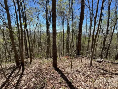 0 Crackin Chestnut Lane Sylva NC 28779