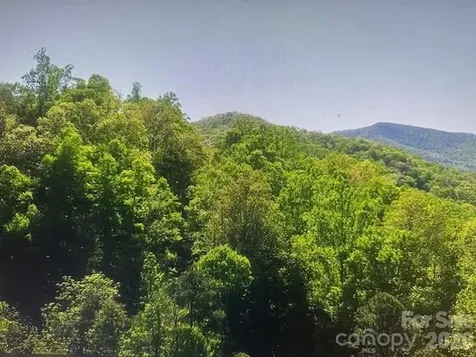 0 Crackin Chestnut Lane Sylva NC 28779