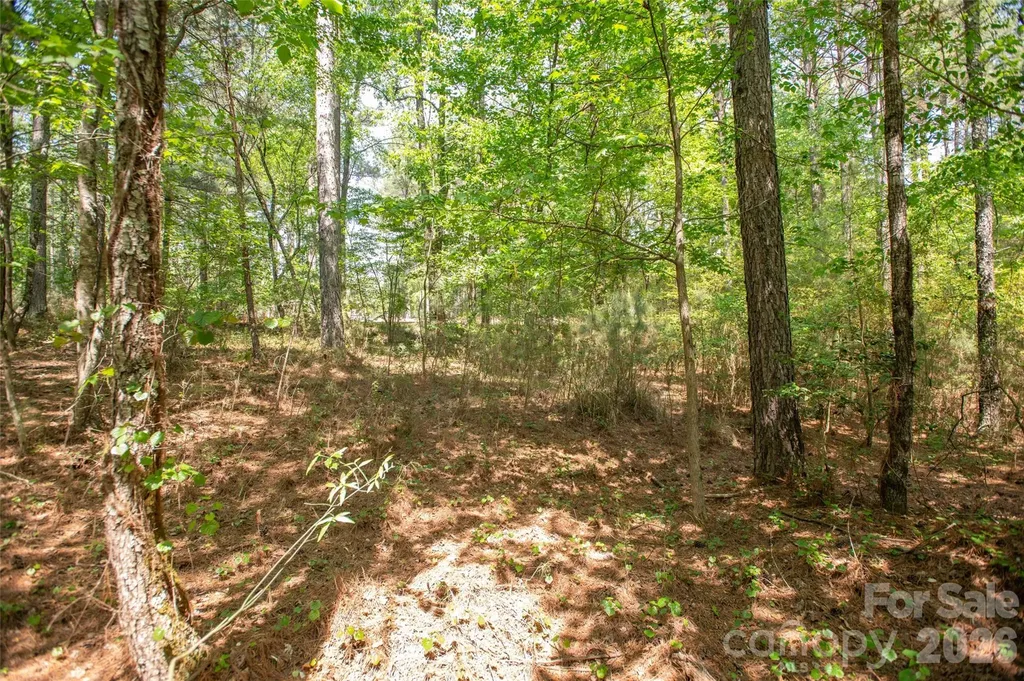 1518 W Paradise Harbor Drive Connelly Springs NC 28612