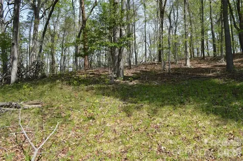 191 Flat Rock Hill Road Tryon NC 28782