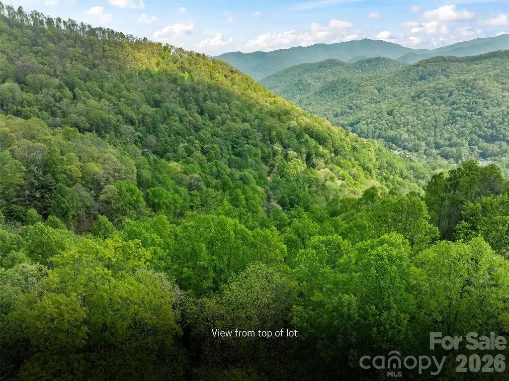 Tbd Jacks Knob Road Barnardsville NC 28709
