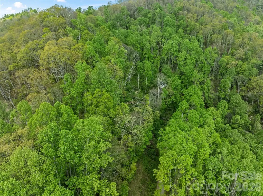 Tbd Jacks Knob Road Barnardsville NC 28709