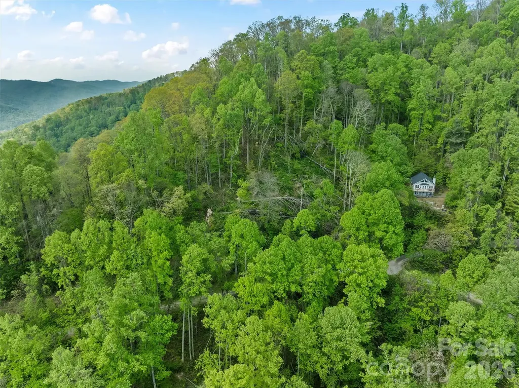 Tbd Jacks Knob Road Barnardsville NC 28709