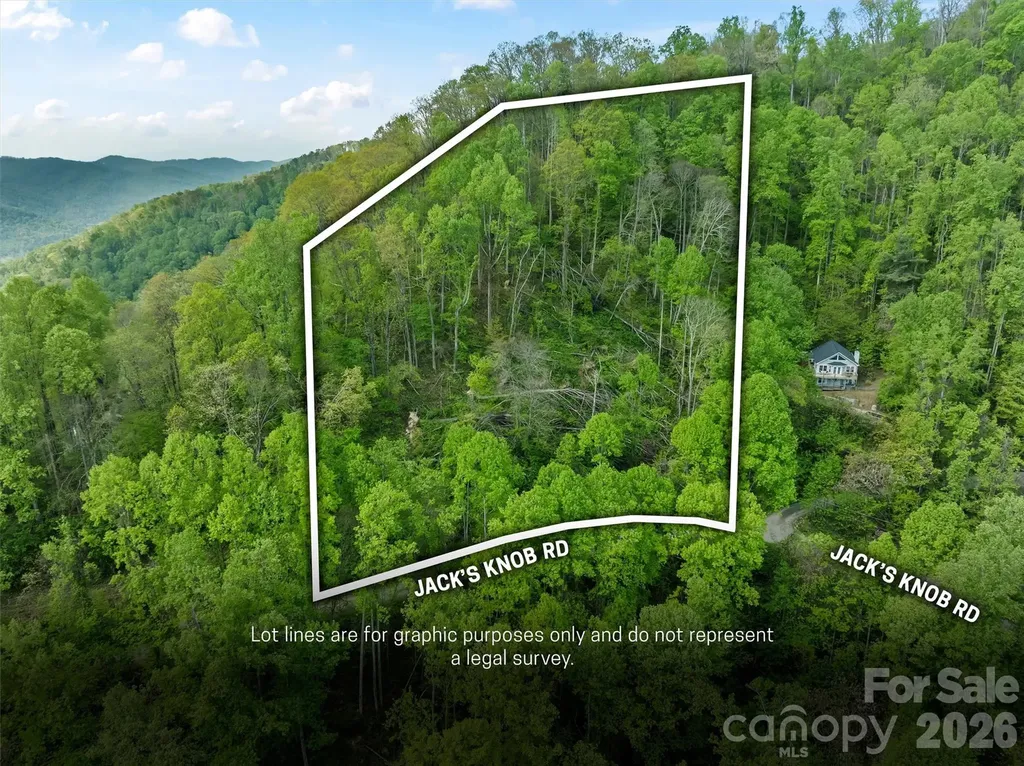 Tbd Jacks Knob Road Barnardsville NC 28709