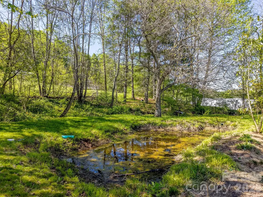 160 Canter Lane Sylva NC 28779