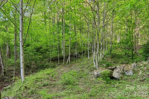 47 Lo Cove Maggie Valley NC 28751