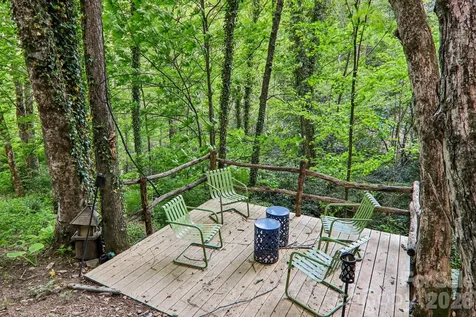 47 Lo Cove Maggie Valley NC 28751