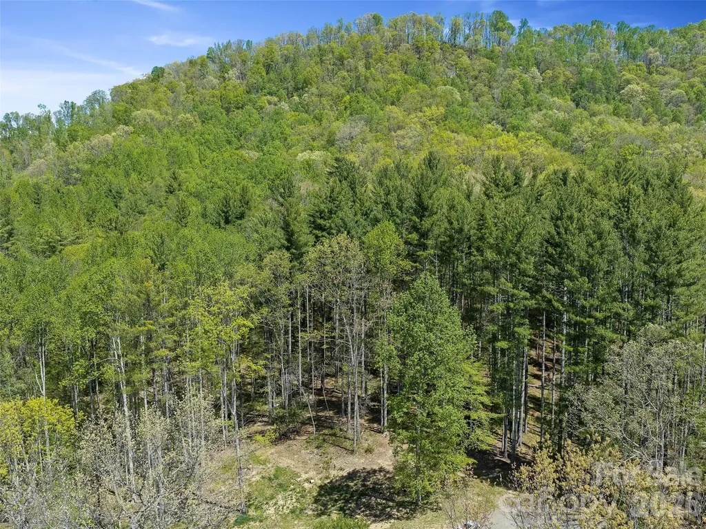 0 Satinwood Drive Burnsville NC 28714