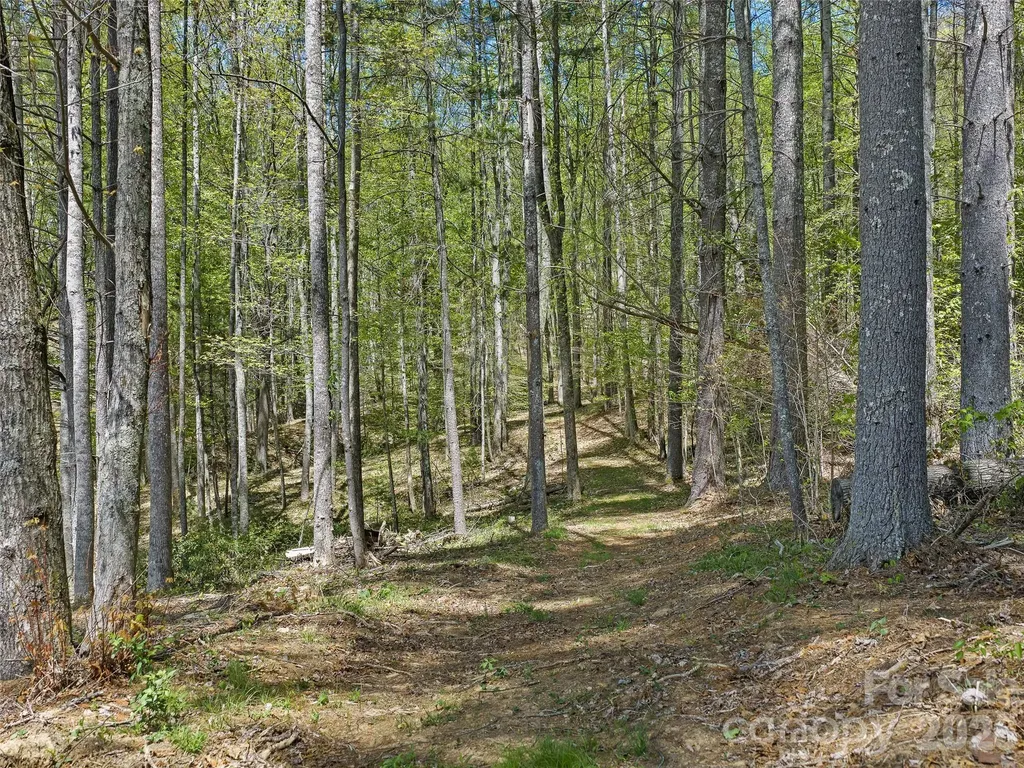 0 Satinwood Drive Burnsville NC 28714
