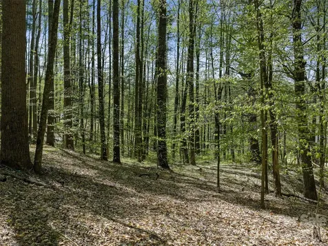 0 Satinwood Drive Burnsville NC 28714