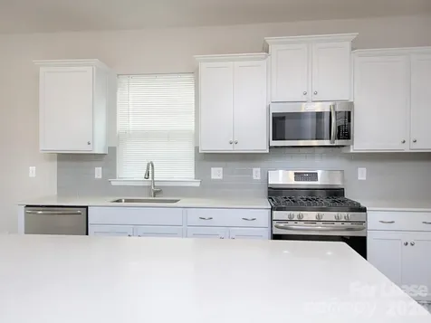 161 White Apple Way Statesville NC 28625