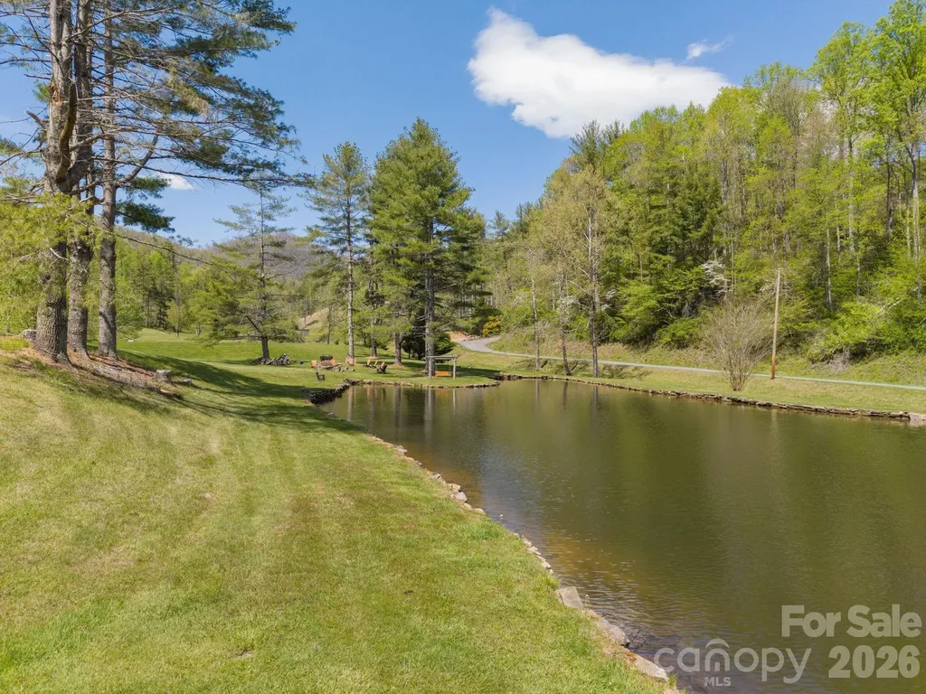 00000 White Pine Lane Bakersville NC 28705