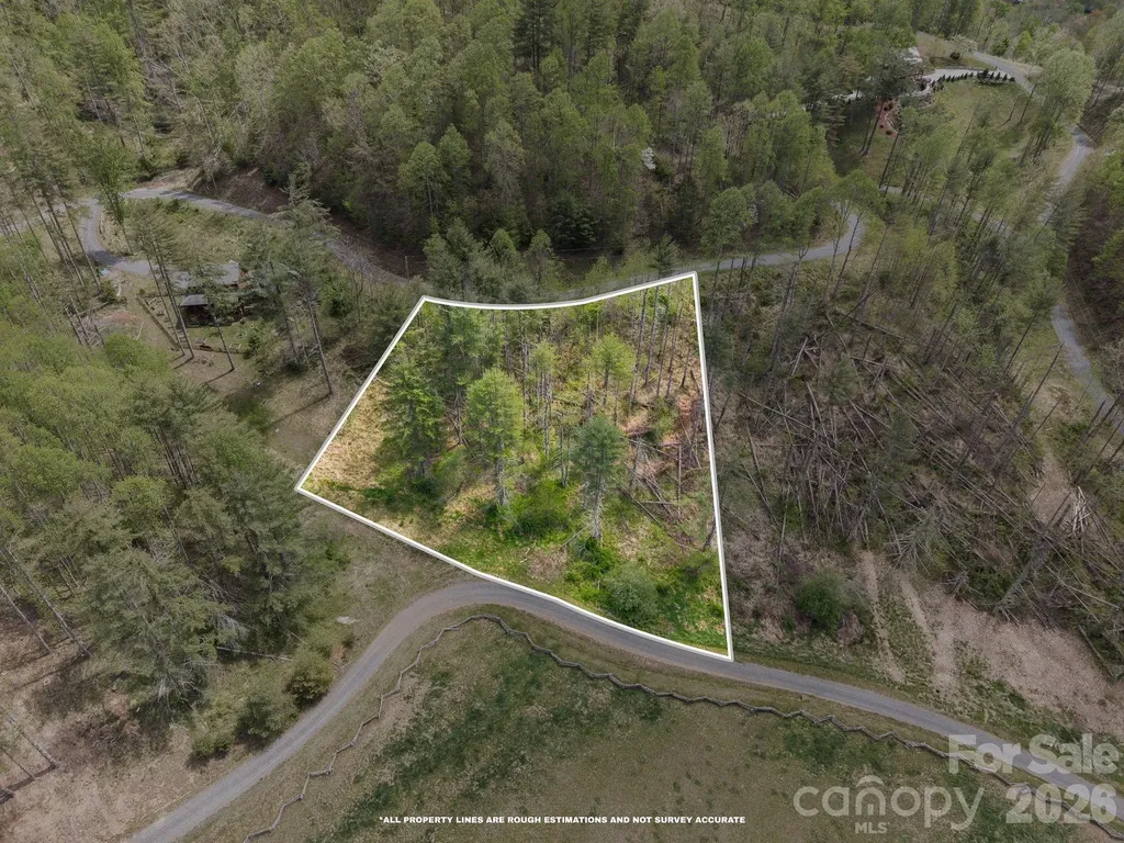 00000 White Pine Lane Bakersville NC 28705