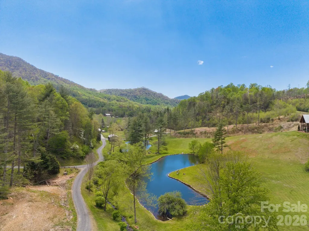 00000 White Pine Lane Bakersville NC 28705