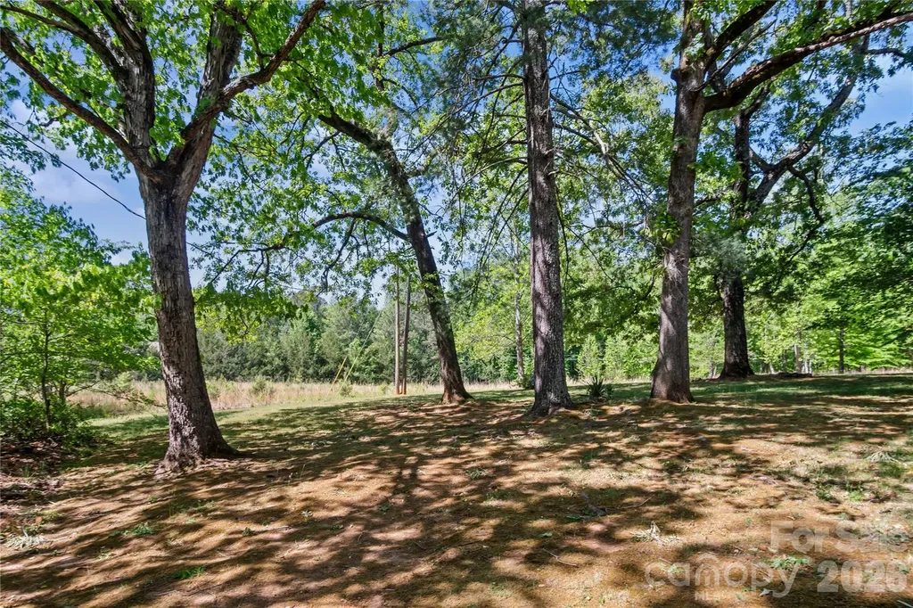 283 Constant Lane Columbus NC 28722